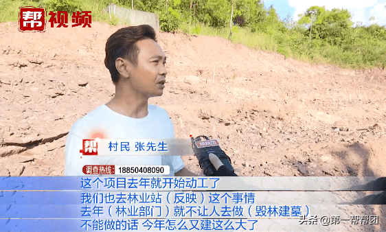 坟墓建在林地怎么处理(林地风水下葬方向)