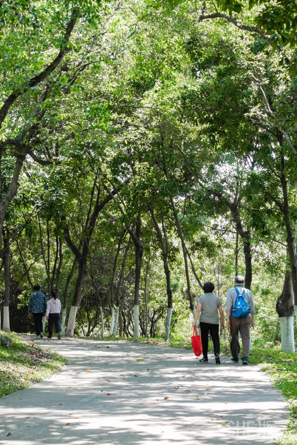 深圳地址大全详细地址(深圳有哪些地区)