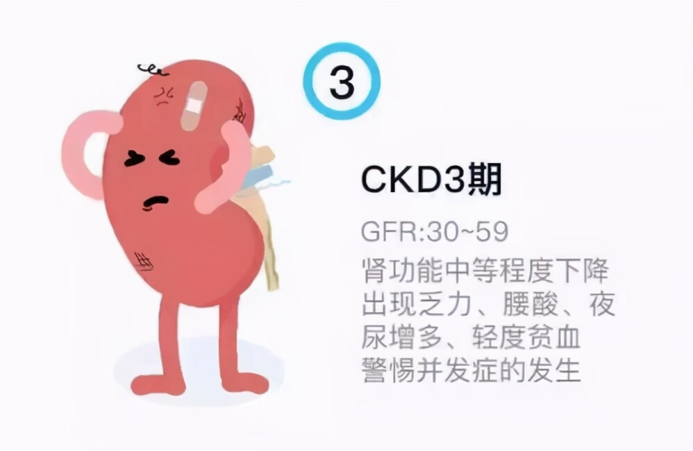 急性肾功能不全是什么意思(轻微肾功能不全影响不大)