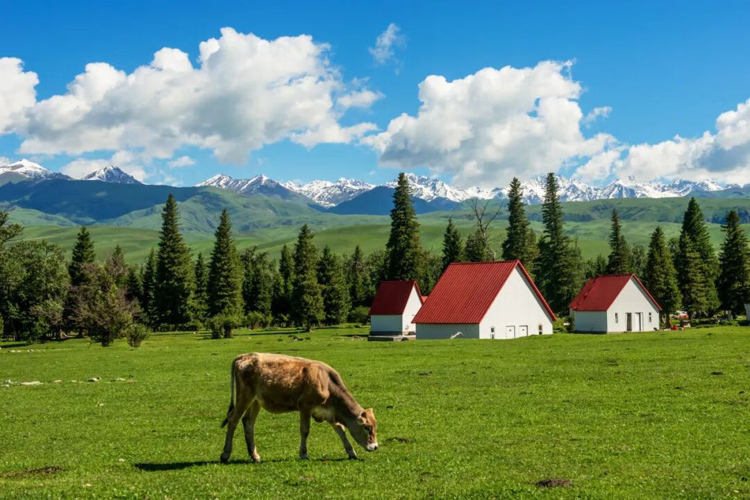 寒假适合去哪里旅游(寒假适合旅游的地方有哪些)