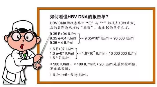 乙肝dna检测结果怎么看(乙肝病毒DNA检测报告)