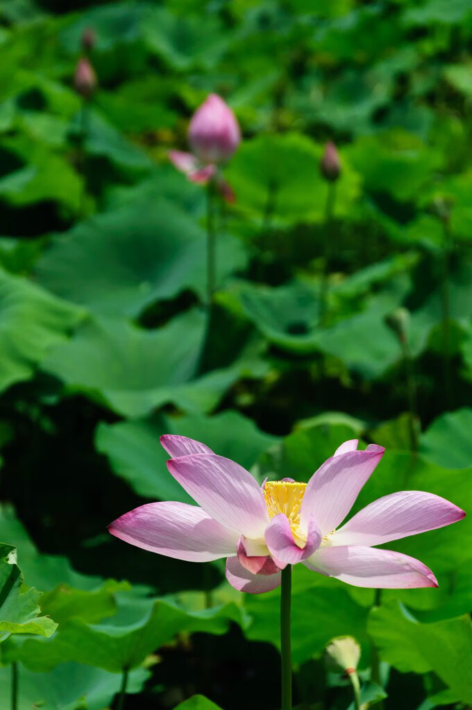 广西百色靖西风水宝地(广西风水宝地大全)