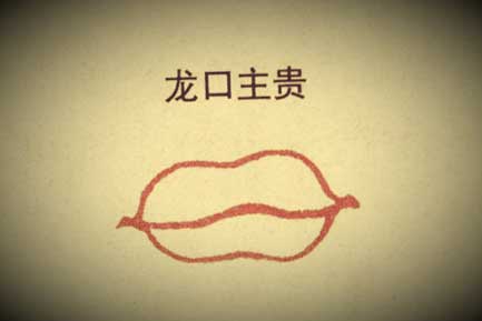 六,嘴唇宽而长,厚而丰满,口角齐整,与众不同,拥有这种龙口口型的人