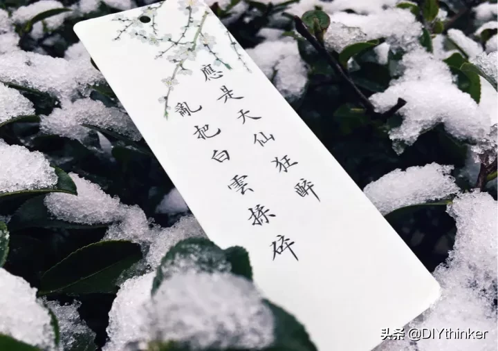 关于雪的文章摘抄(描写雪的短文)