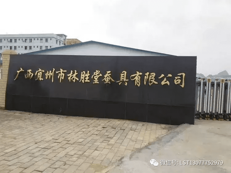 蚕宝宝怎么养才好(怎样养蚕宝宝才是正确的)