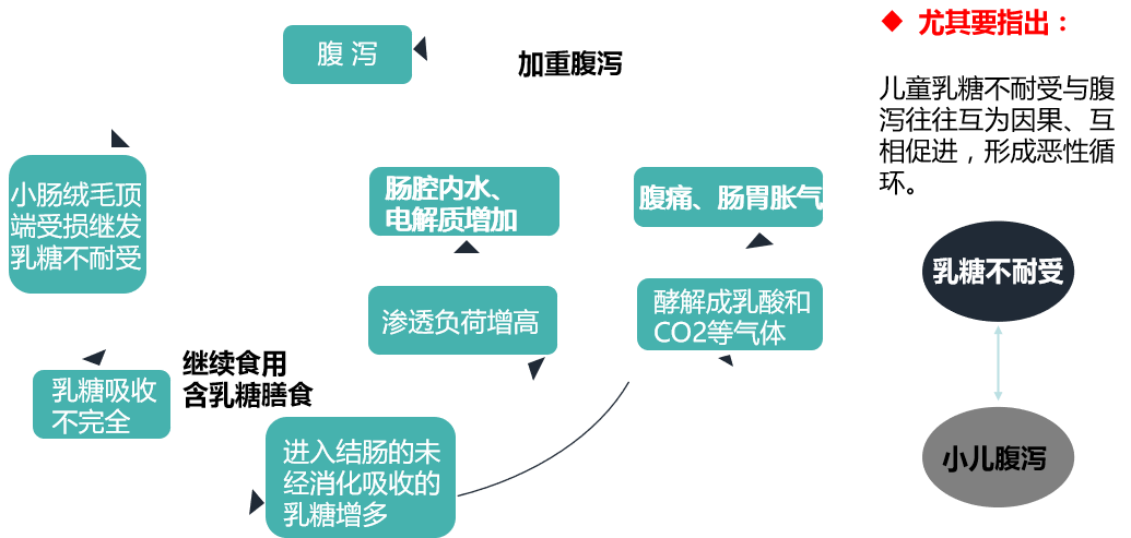 乳糖酶片剂(乳糖酶的价格)