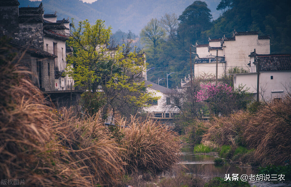 房后面有公路农田风水吗?(公路征地补偿)