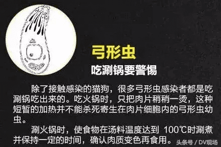 囊虫病(蝇蛆病)