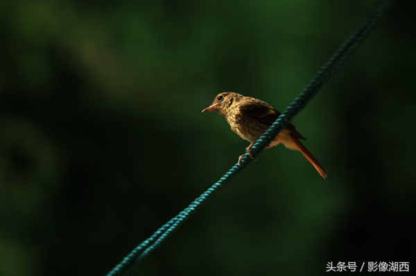 单县舜师名园 单县舜和雅苑哪个街道