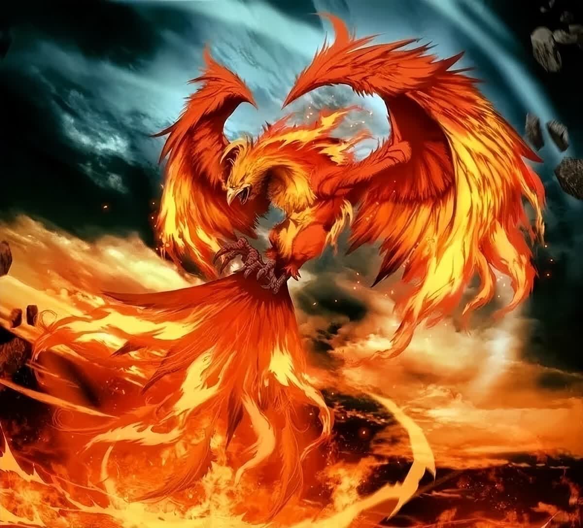 为朱雀;西方的奎,娄,胃,昂,毕,角,参形状如虎,称西宫为白虎;东方的角