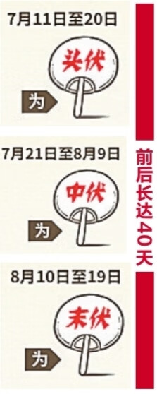 头伏吃什么好(头伏吃啥)