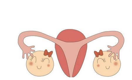 女生排的卵是什么样的(卵泡是什么样子图片)