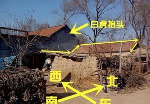 风水中的青龙煞(男人长青龙之相)