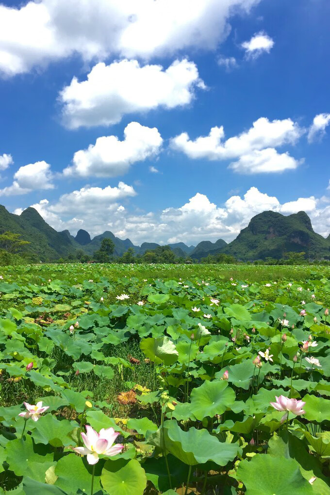 广西百色靖西风水宝地(广西风水宝地大全)