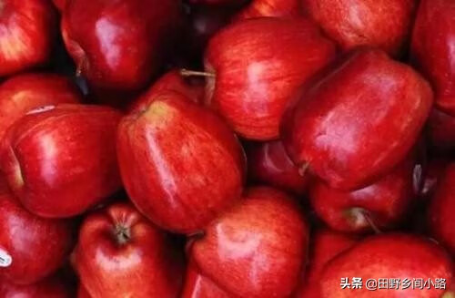 蛇果的功效与作用(蛇果子)