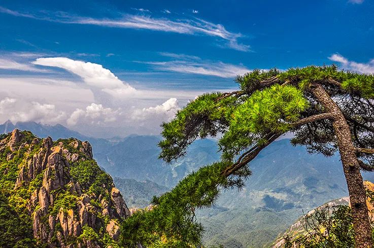 7月份适合去哪里旅游?(七月份自驾游适合去哪里旅游)