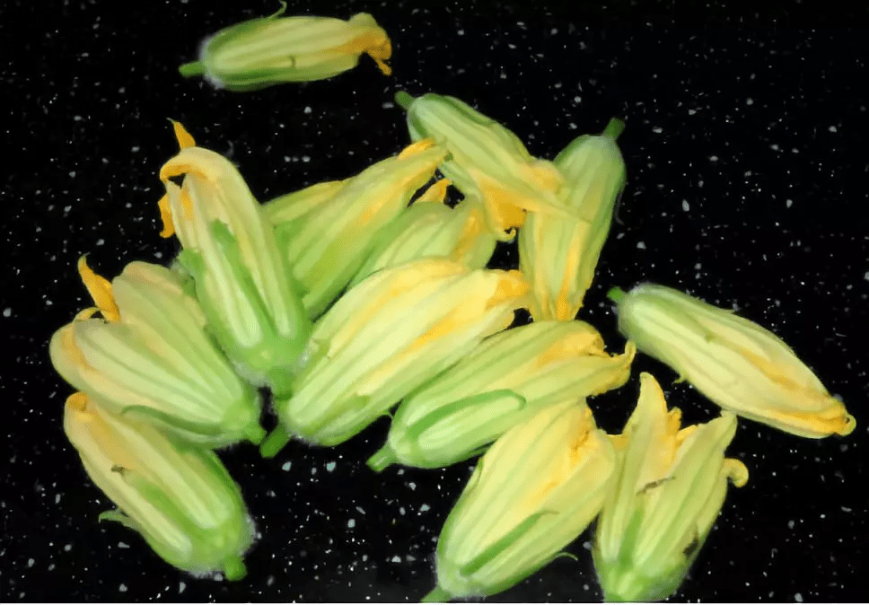 薄荷怎么吃才好吃(薄荷如何食用)