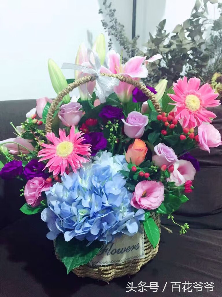什么植物防辐射是真的吗(哪些植物防辐射效果好)