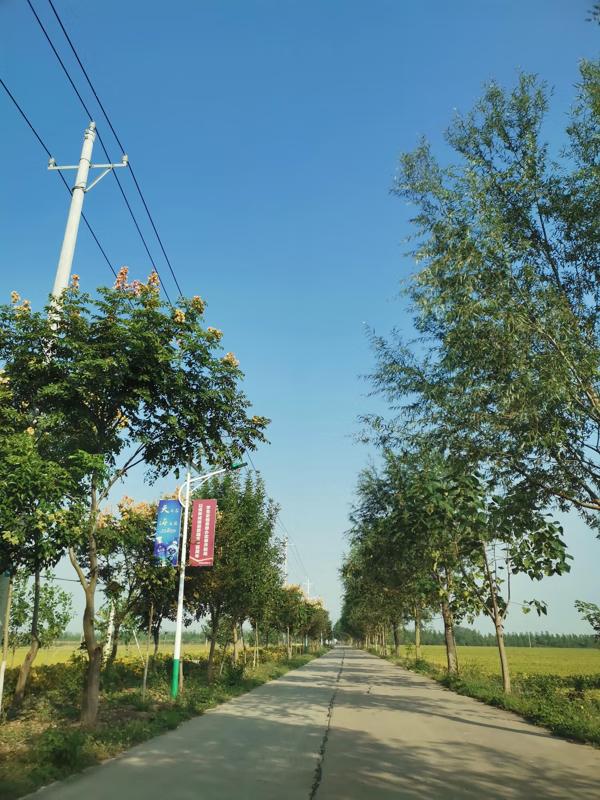 母亲节是中国的传统节日吗(中国第一个母亲节)