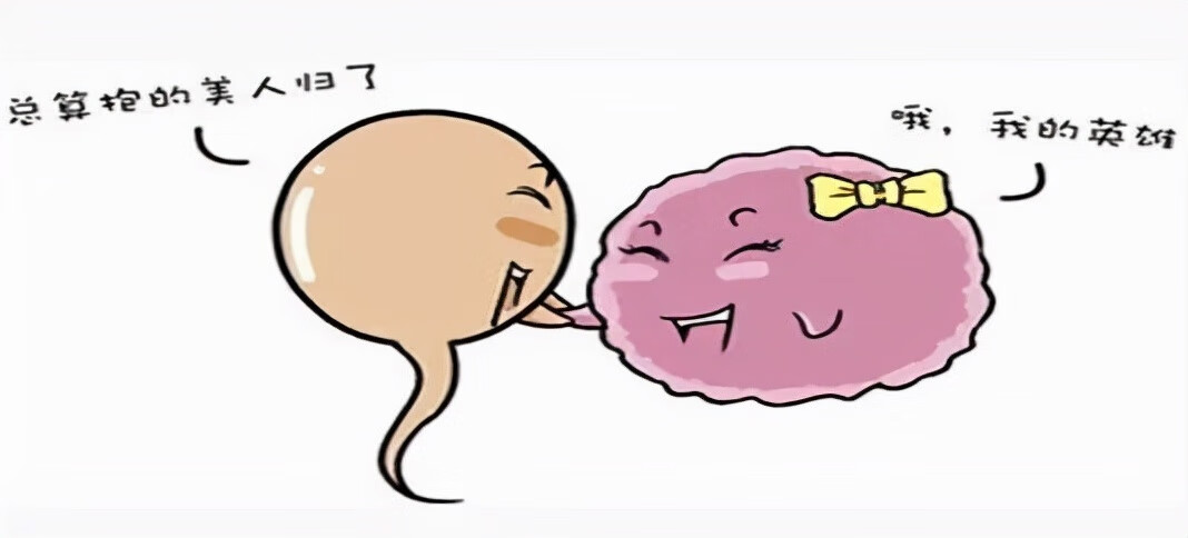 常见不育检查(不育查什么)