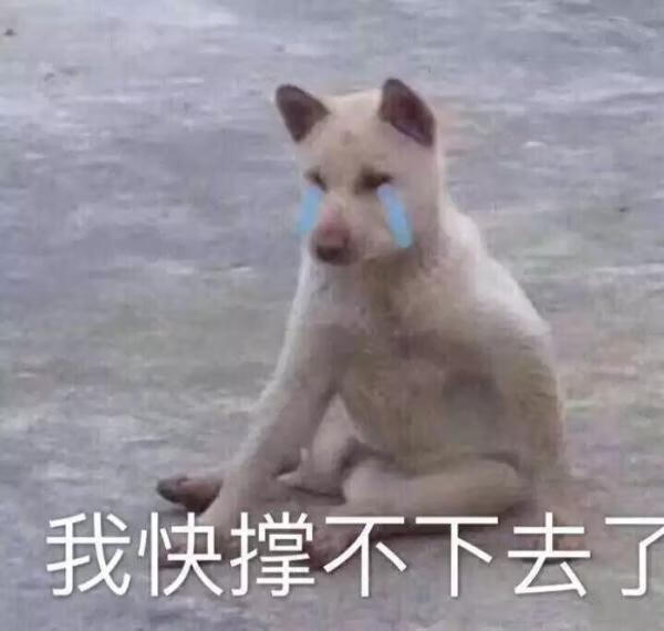 12315官网查询商品真伪下载(化妆品真伪查询扫一扫)