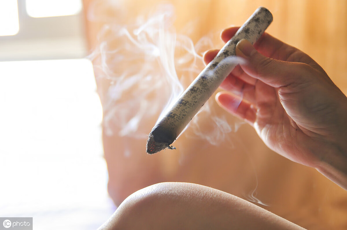 艾蒿过敏怎么办(艾蒿过敏包括哪些植物)