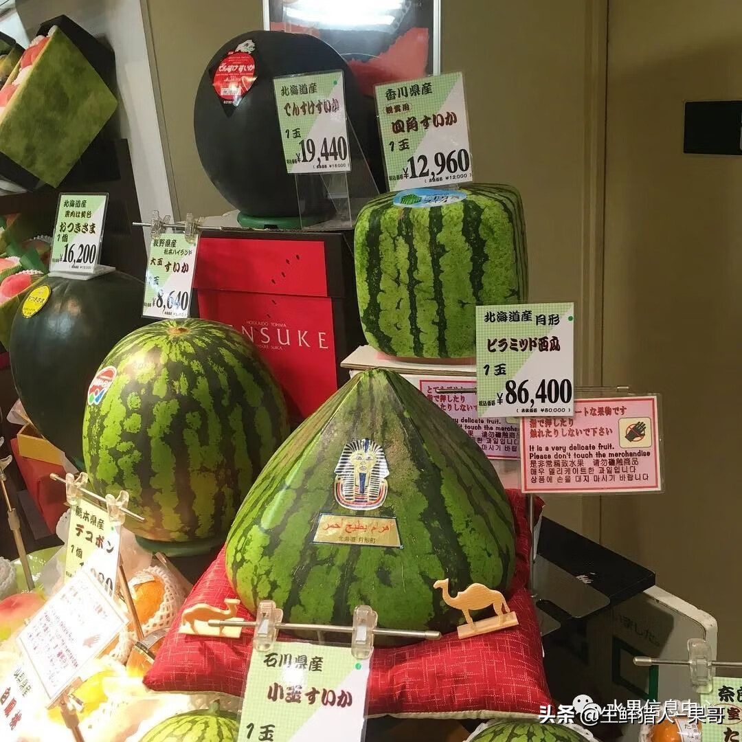 果(果蓏)