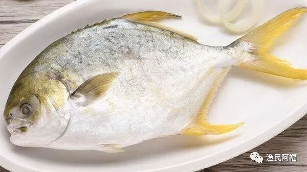 孕妇吃海鲜(孕妇能吃的海鲜排行榜)