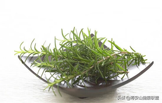 迷迭香精油的功效与作用及使用方法