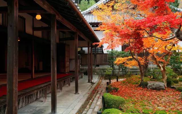 爱建园为什么风水(梦幻建房子风水技巧)