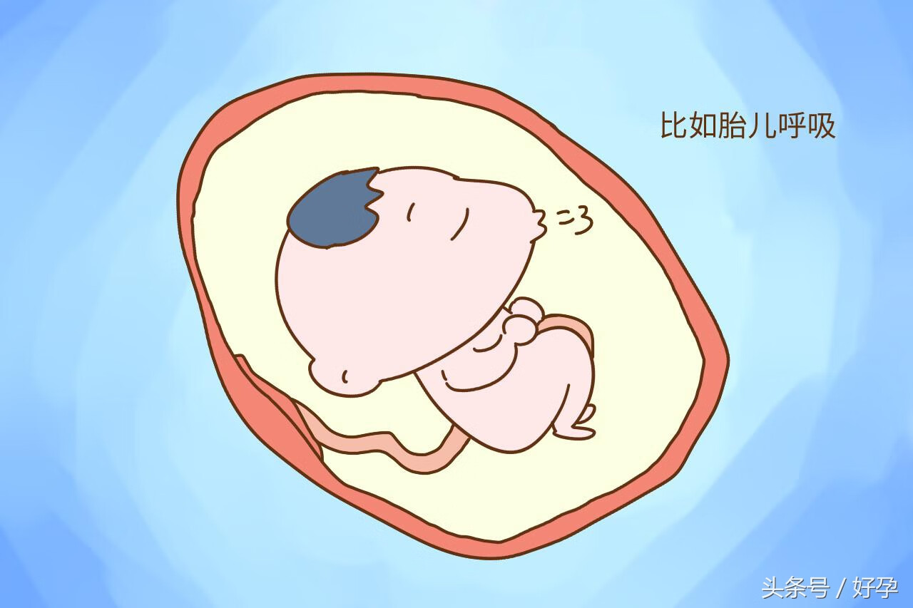 最早几个月有胎动(五个月胎动是什么感觉)