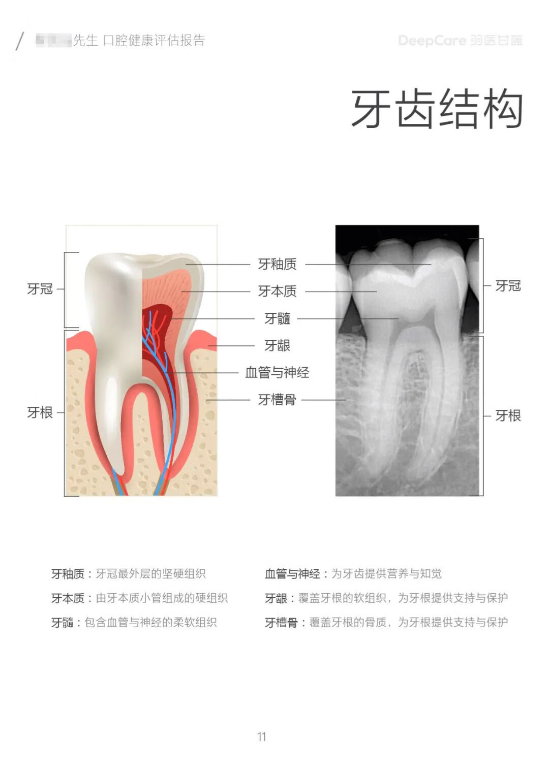 口腔检查报告(口腔医院)