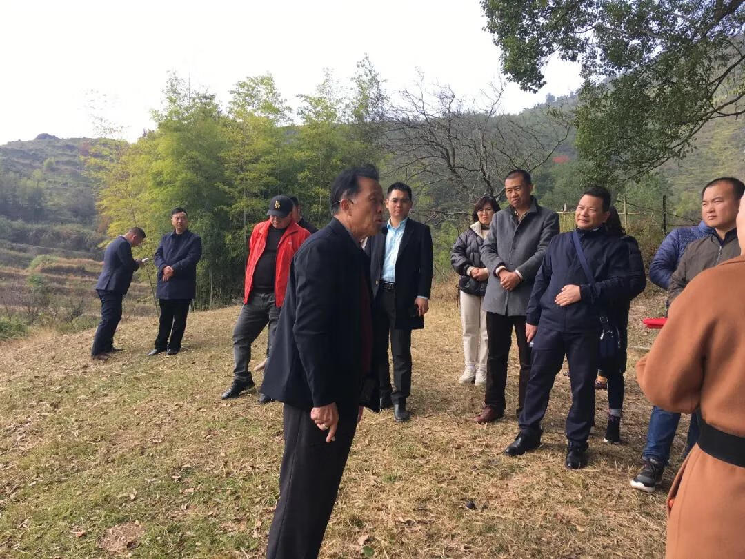 三僚风水协会会长(三僚刘国胜风水)