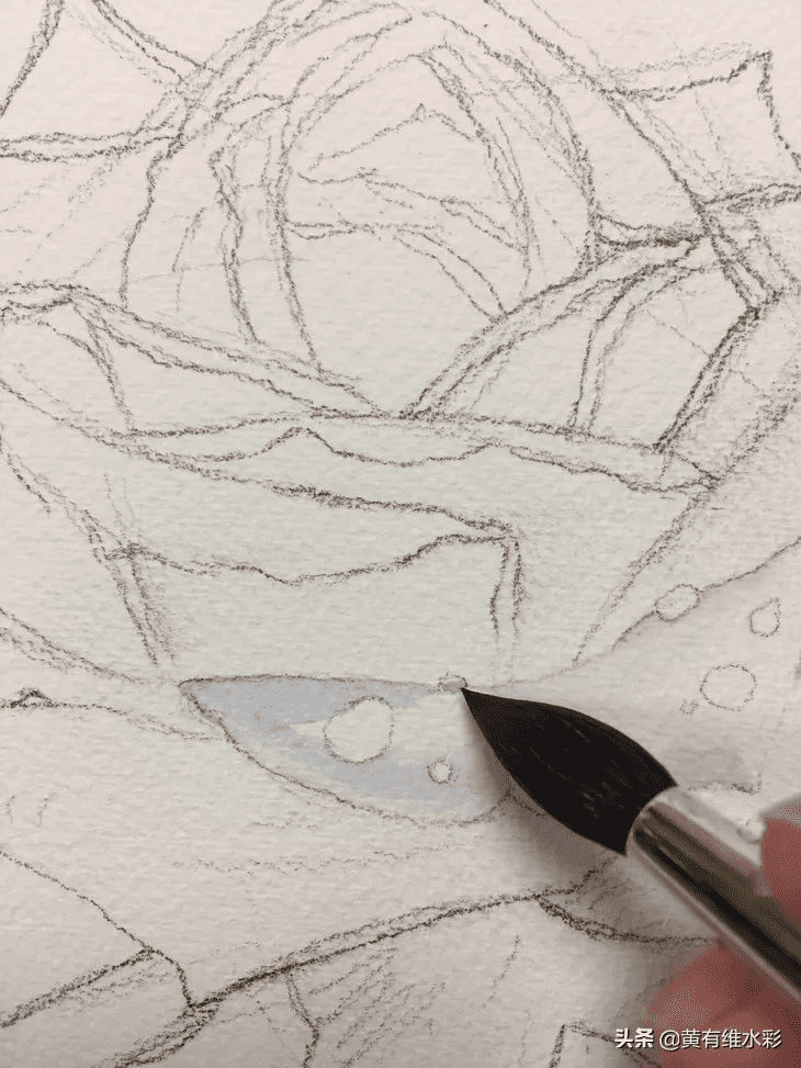 白玫瑰花怎么画白玫瑰油画