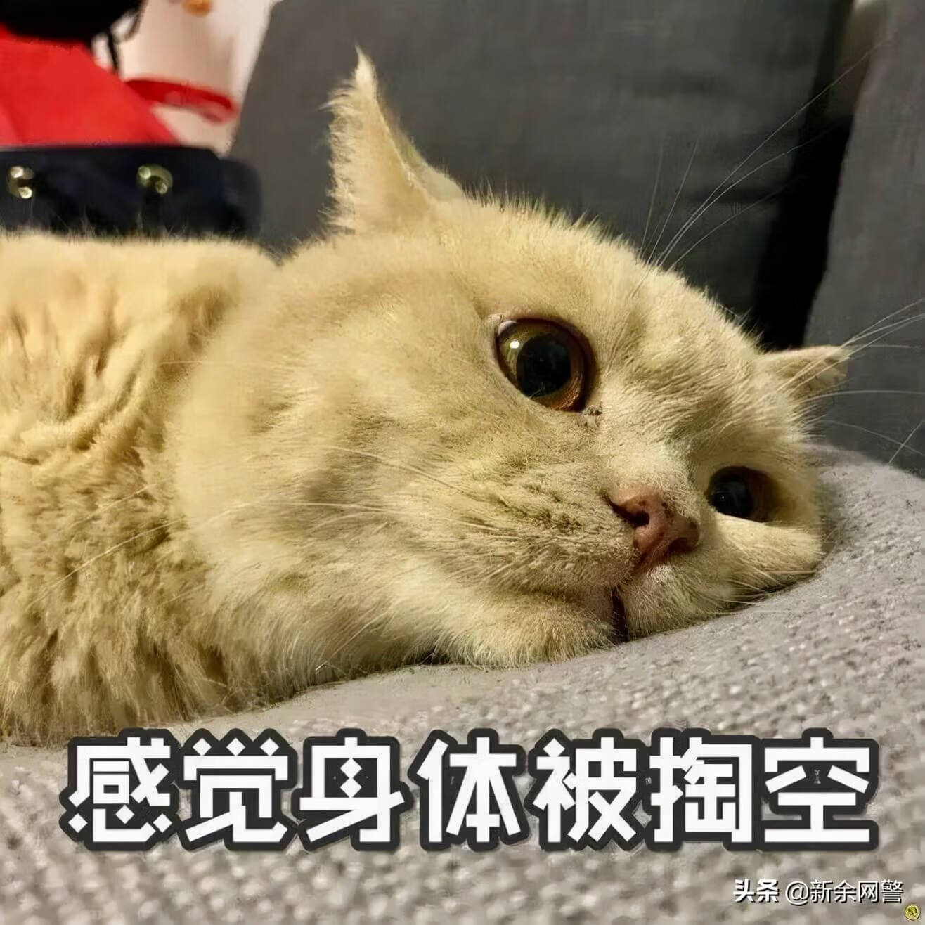 又是一年315 , 这些诈骗“套路"你知道吗？