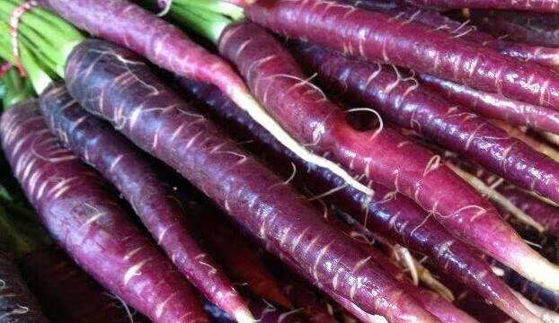 胡萝卜的营养价值有哪些(胡萝卜的营养价值与食用功效)