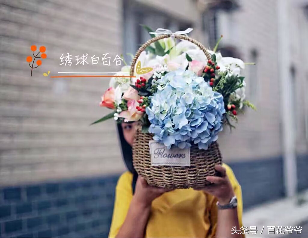 什么植物防辐射是真的吗(哪些植物防辐射效果好)