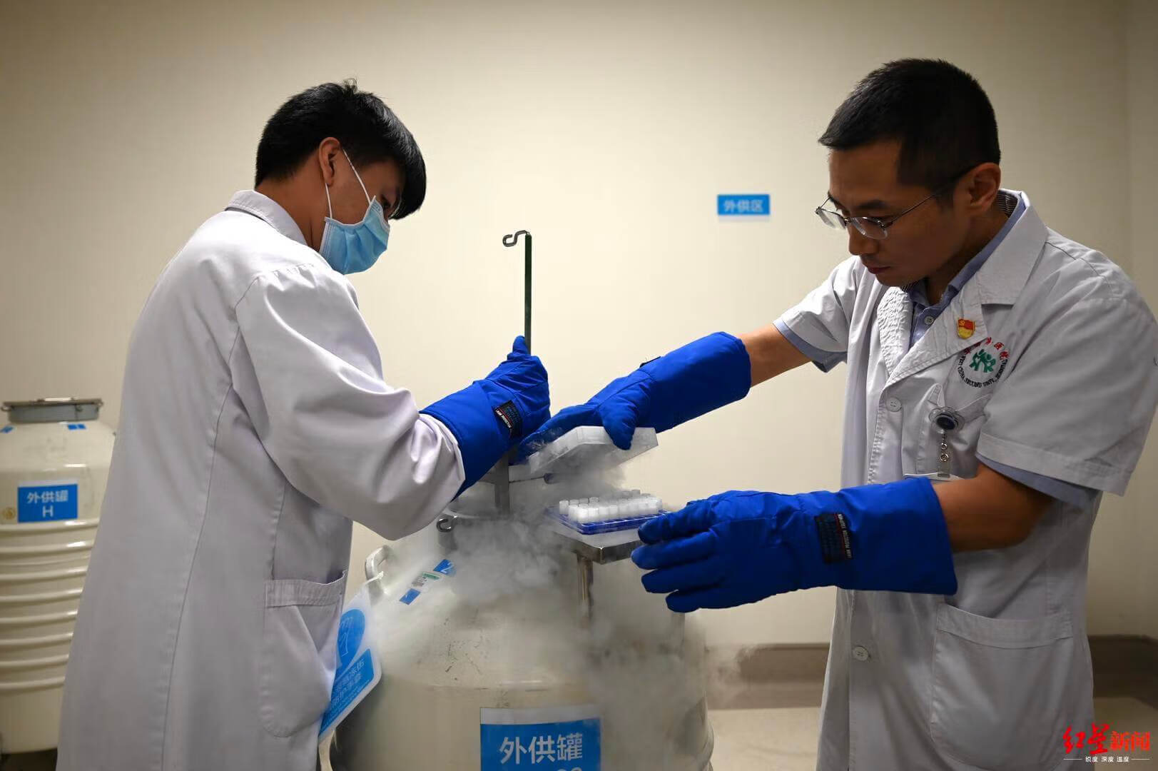 捐精子过程(精子怎么捐献流程)