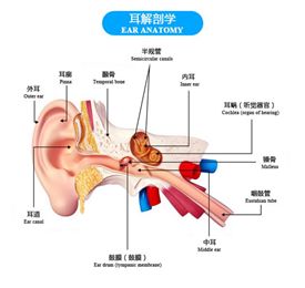 浴巾摇(洗澡用的浴巾)