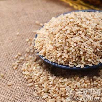 糙米的功效与作用坏处(糙米的正确吃法)