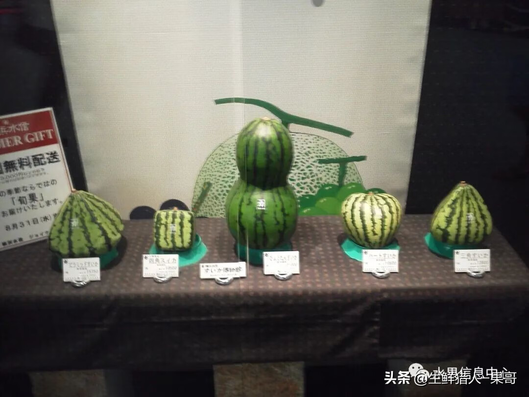 果(果蓏)