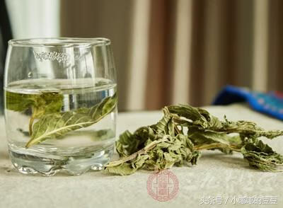 孕妇可不可以喝茶水(孕妇能喝茶水么)
