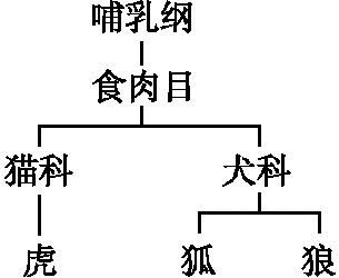 生物对环境的适应具有什么性(生物对环境的适应能力)