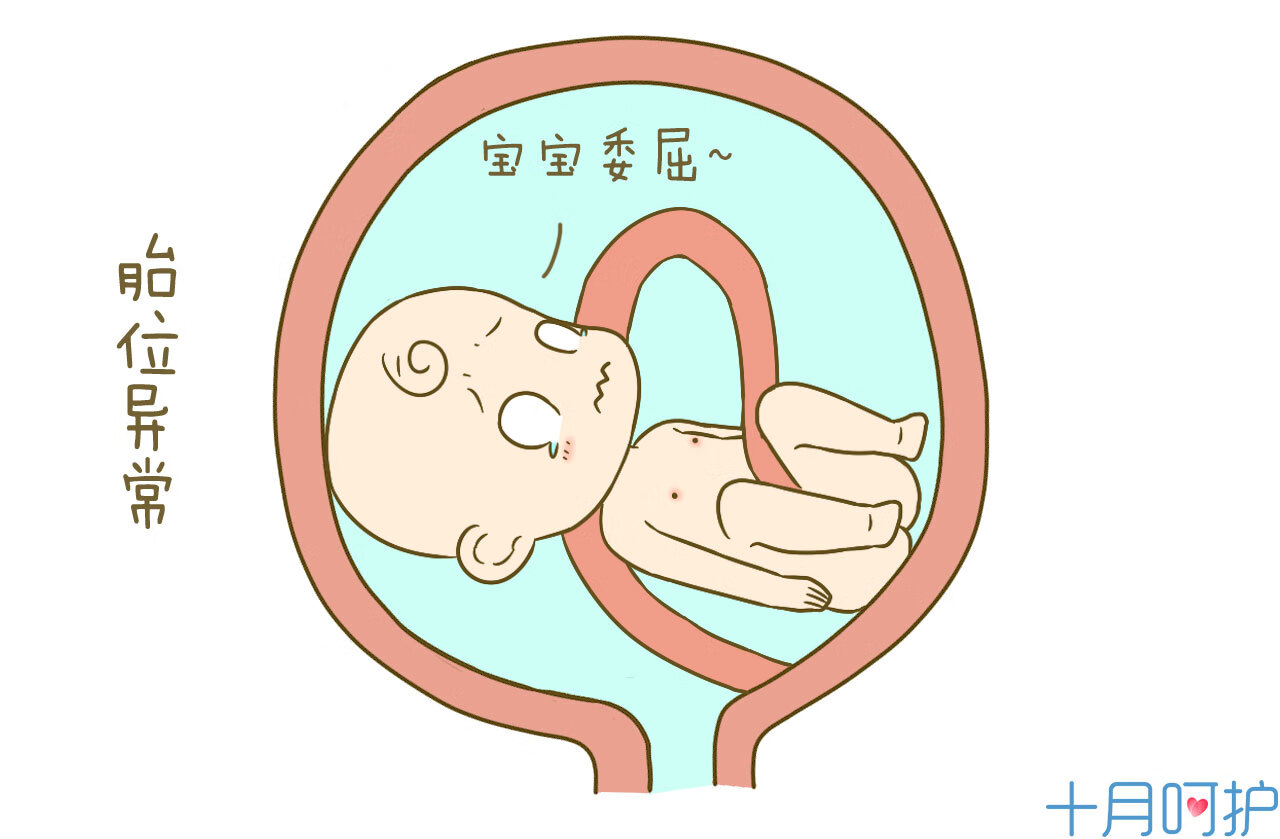 一般入盆后多久会生
