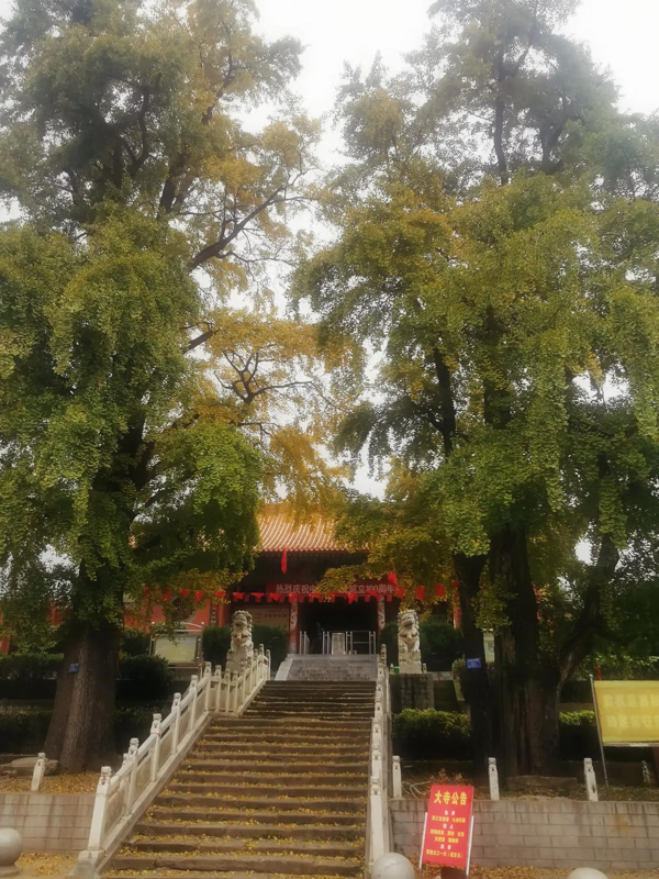 方城大乘山风景区(方城大乘山)