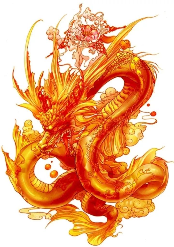 风水龙的图片(海贼王龙马图片)