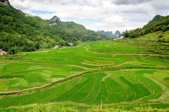 广西百色靖西风水宝地(广西风水宝地大全)