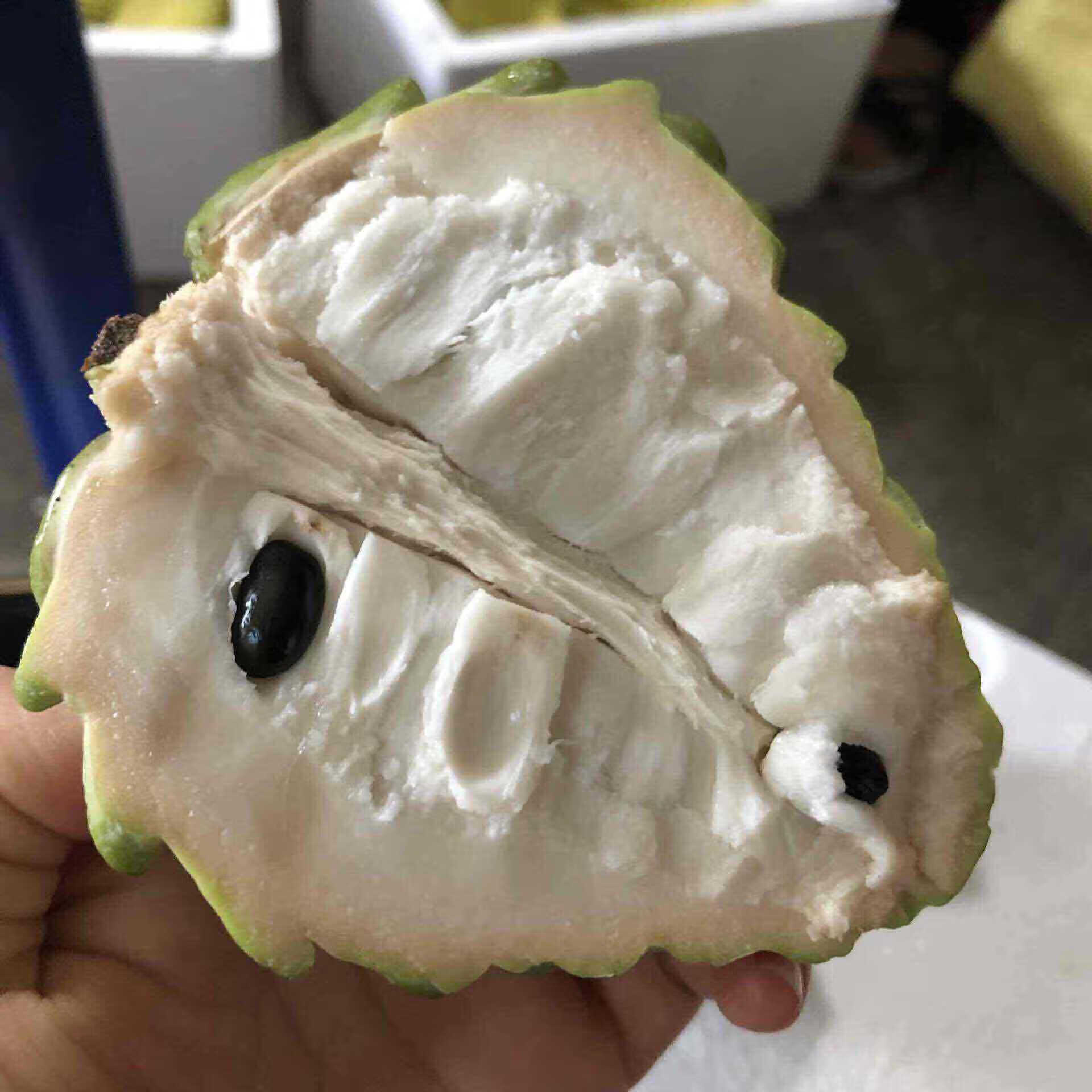 释迦果怎么吃(释迦摩尼果怎么吃)
