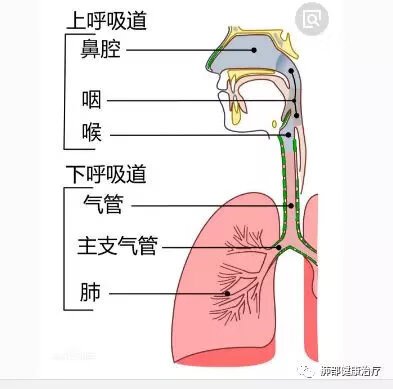 咳嗽气喘是什么原因(经常咳嗽气喘是怎么回事)