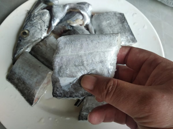 带鱼是深海鱼吗?能养殖吗(带鱼是深海鱼还是浅海鱼)
